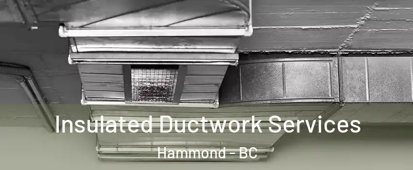  Insulated Ductwork Services Hammond - BC