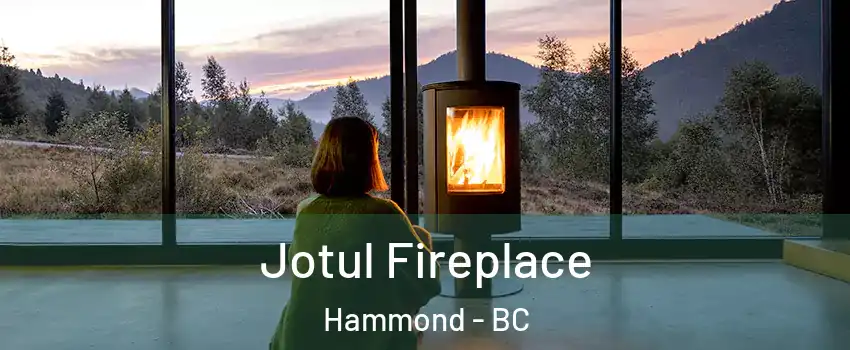  Jotul Fireplace Hammond - BC