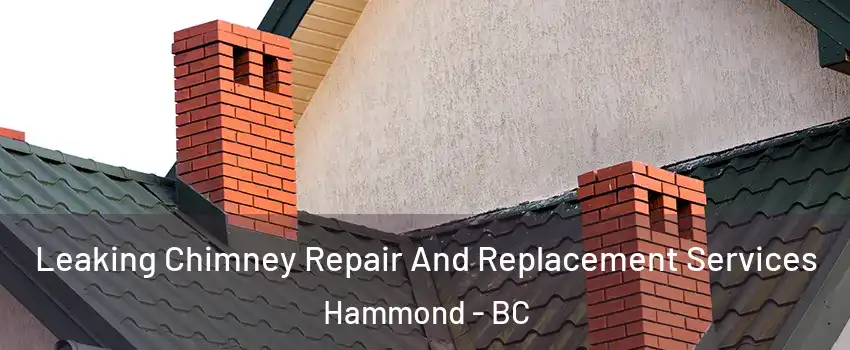  Leaking Chimney Repair And Replacement Services Hammond - BC