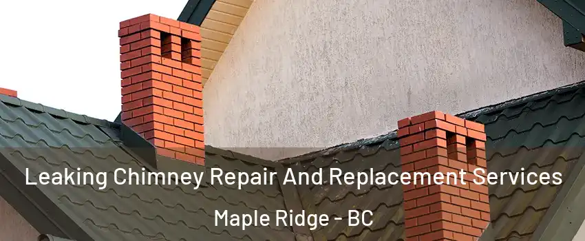  Leaking Chimney Repair And Replacement Services Maple Ridge - BC