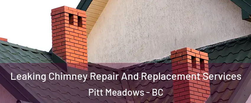  Leaking Chimney Repair And Replacement Services Pitt Meadows - BC
