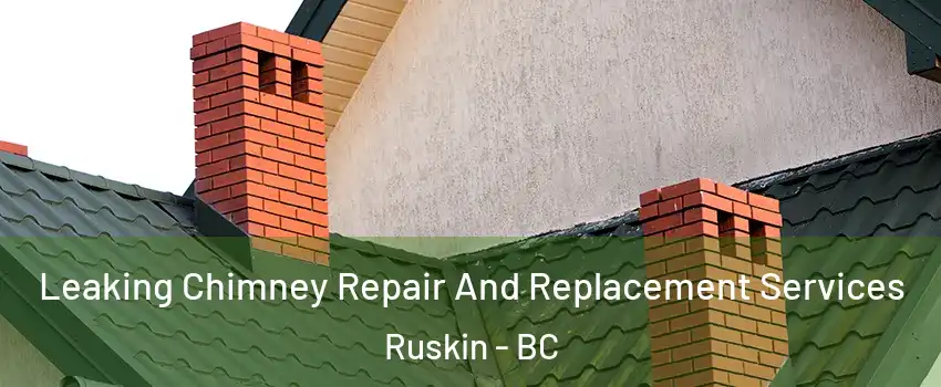  Leaking Chimney Repair And Replacement Services Ruskin - BC