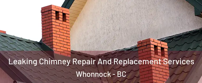  Leaking Chimney Repair And Replacement Services Whonnock - BC