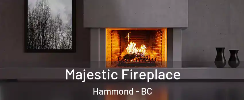  Majestic Fireplace Hammond - BC