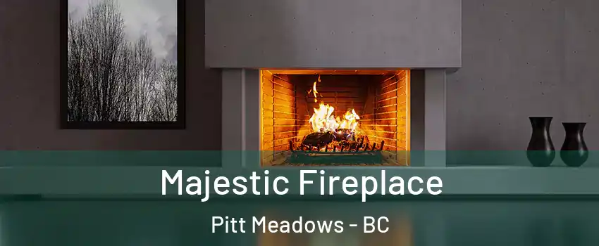  Majestic Fireplace Pitt Meadows - BC