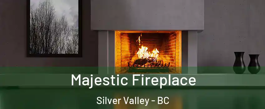  Majestic Fireplace Silver Valley - BC