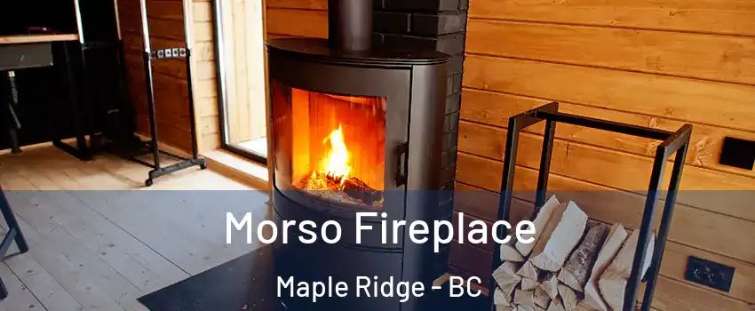  Morso Fireplace Maple Ridge - BC