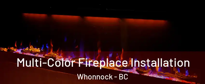  Multi-Color Fireplace Installation Whonnock - BC