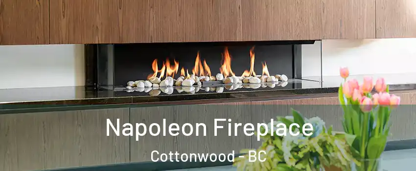  Napoleon Fireplace Cottonwood - BC