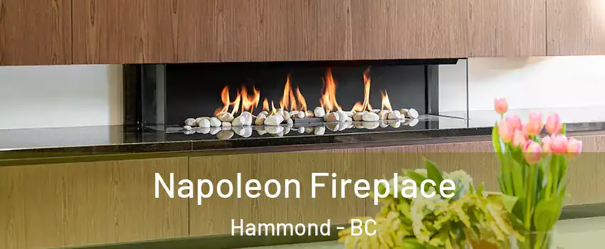  Napoleon Fireplace Hammond - BC