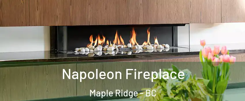  Napoleon Fireplace Maple Ridge - BC