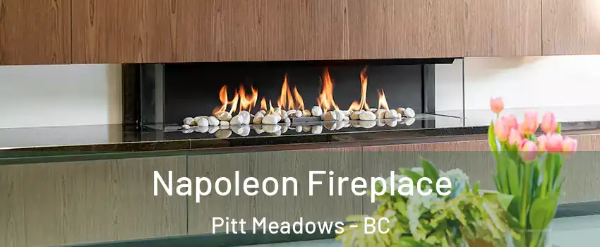  Napoleon Fireplace Pitt Meadows - BC