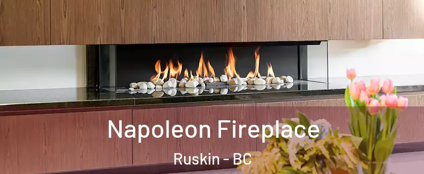  Napoleon Fireplace Ruskin - BC