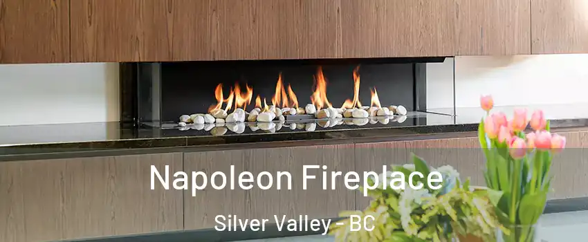  Napoleon Fireplace Silver Valley - BC