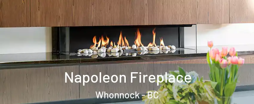  Napoleon Fireplace Whonnock - BC