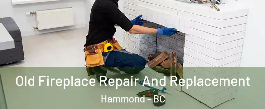  Old Fireplace Repair And Replacement Hammond - BC