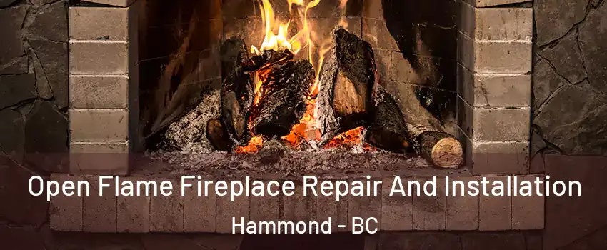  Open Flame Fireplace Repair And Installation Hammond - BC