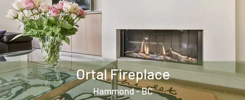 Ortal Fireplace Hammond - BC