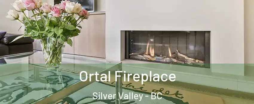 Ortal Fireplace Silver Valley - BC
