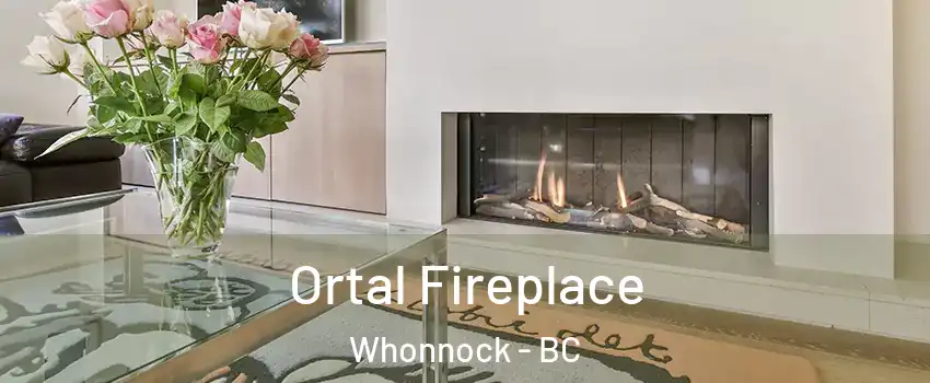 Ortal Fireplace Whonnock - BC