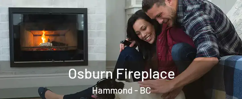  Osburn Fireplace Hammond - BC