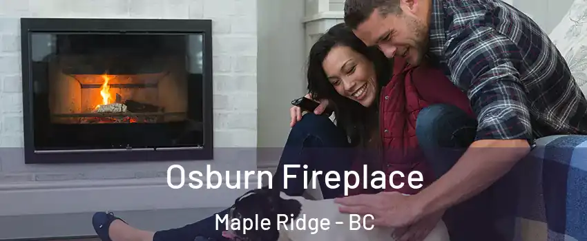  Osburn Fireplace Maple Ridge - BC