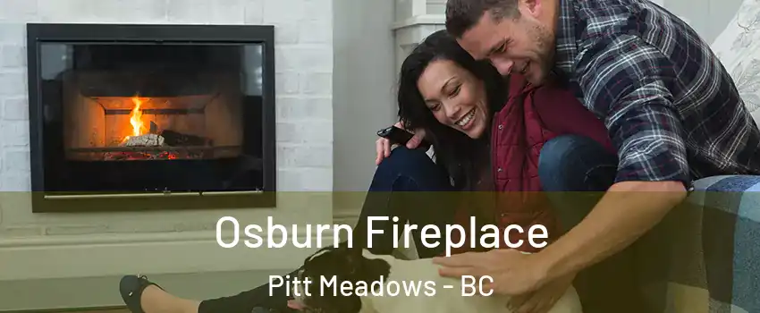 Osburn Fireplace Pitt Meadows - BC