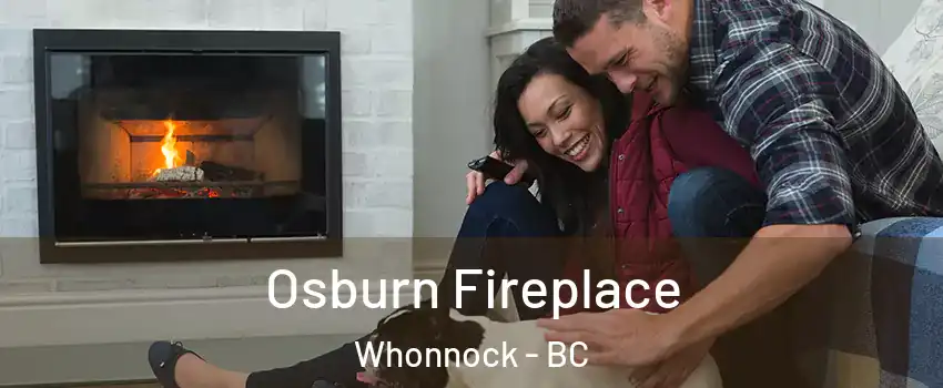  Osburn Fireplace Whonnock - BC