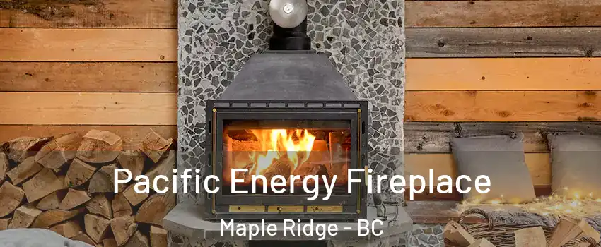  Pacific Energy Fireplace Maple Ridge - BC