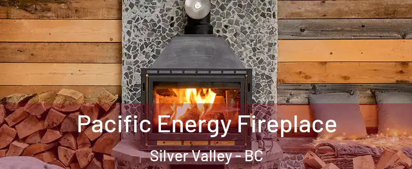  Pacific Energy Fireplace Silver Valley - BC