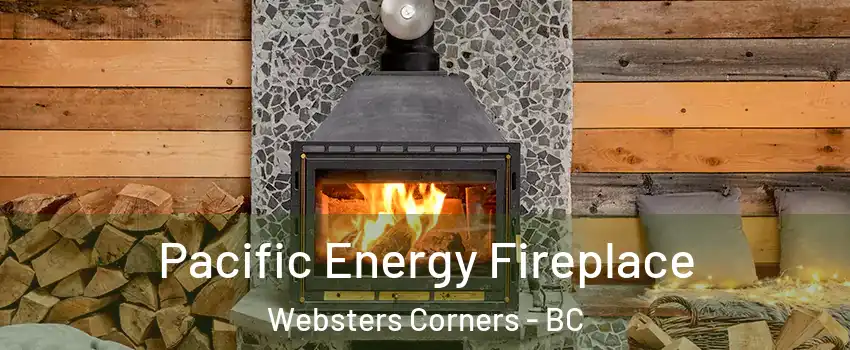  Pacific Energy Fireplace Websters Corners - BC