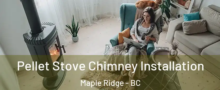  Pellet Stove Chimney Installation Maple Ridge - BC
