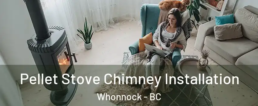  Pellet Stove Chimney Installation Whonnock - BC