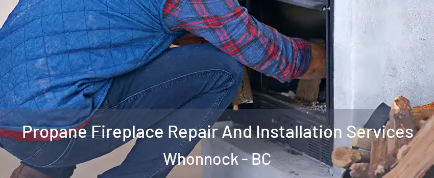  Propane Fireplace Repair And Installation Services Whonnock - BC