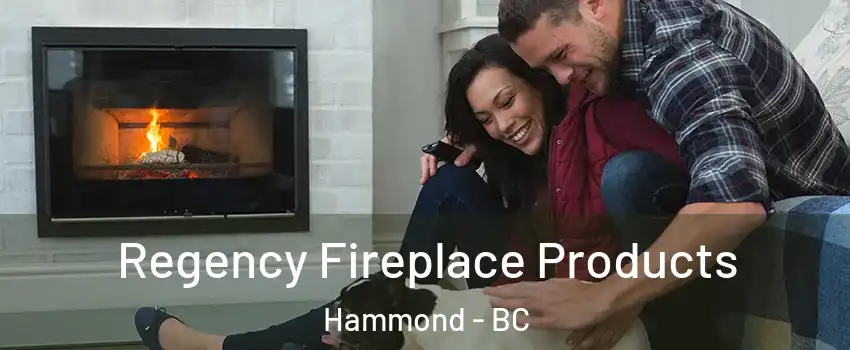  Regency Fireplace Products Hammond - BC