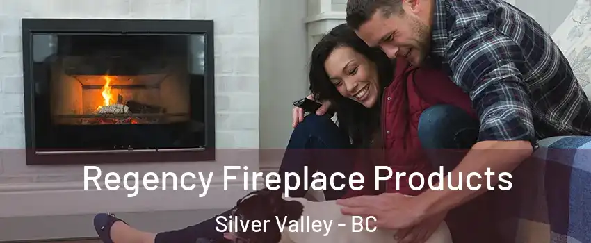  Regency Fireplace Products Silver Valley - BC