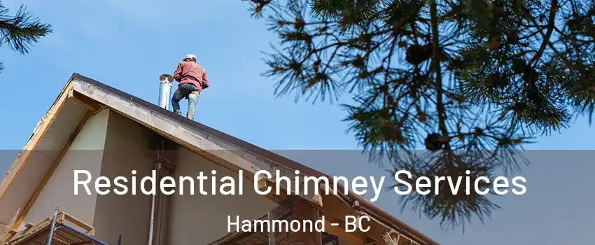  Residential Chimney Services Hammond - BC