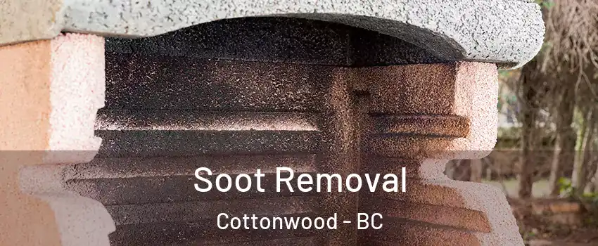 Soot Removal Cottonwood - BC
