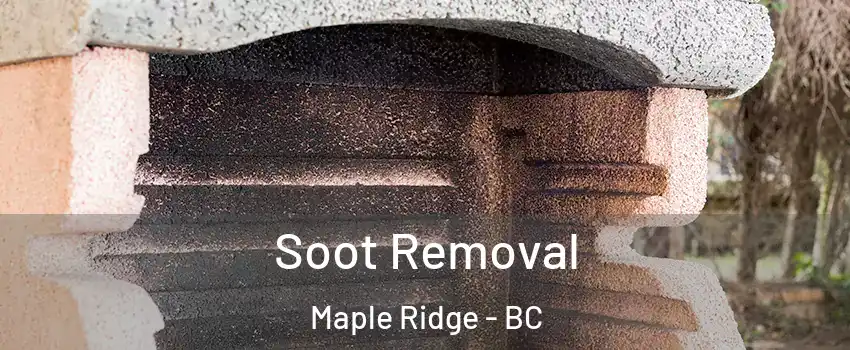  Soot Removal Maple Ridge - BC