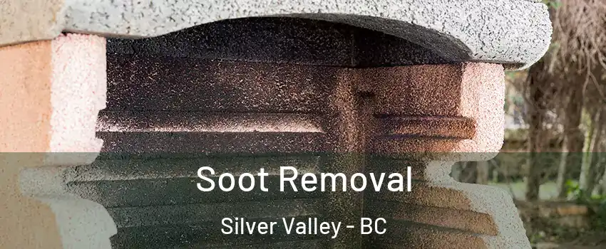  Soot Removal Silver Valley - BC