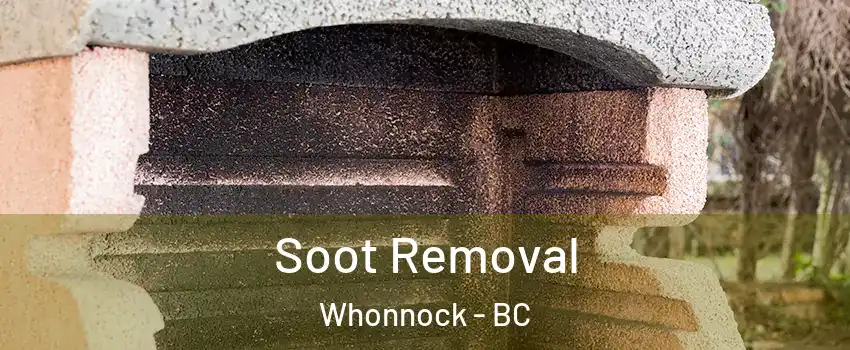  Soot Removal Whonnock - BC