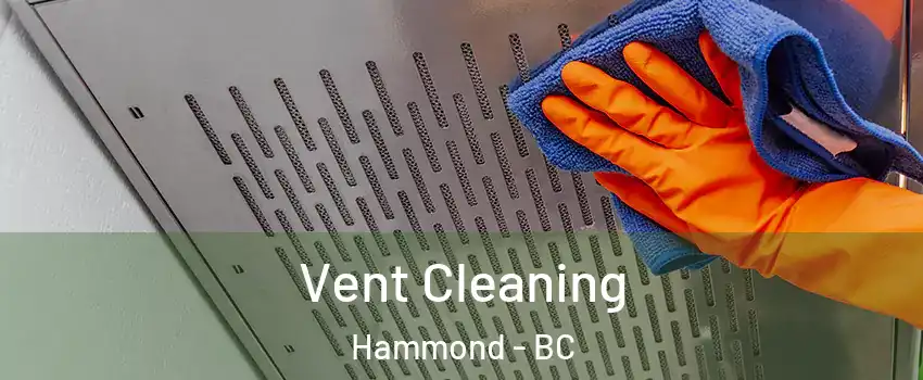  Vent Cleaning Hammond - BC