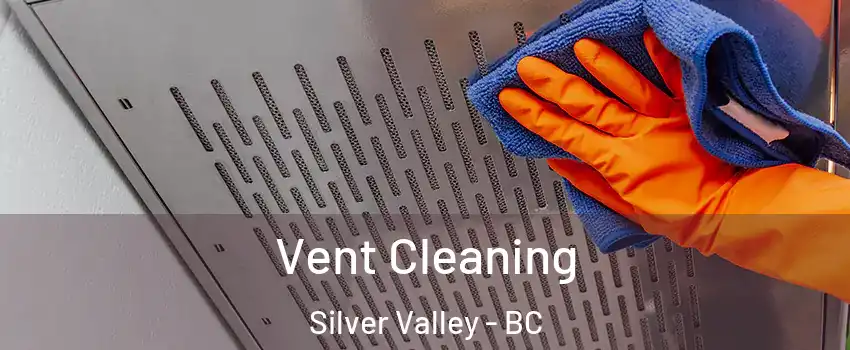  Vent Cleaning Silver Valley - BC