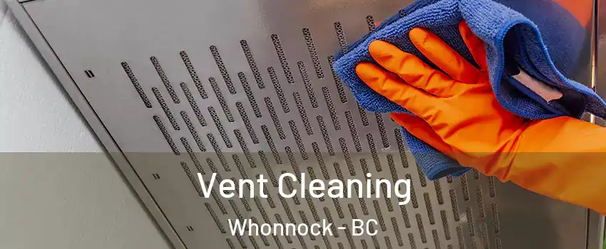  Vent Cleaning Whonnock - BC