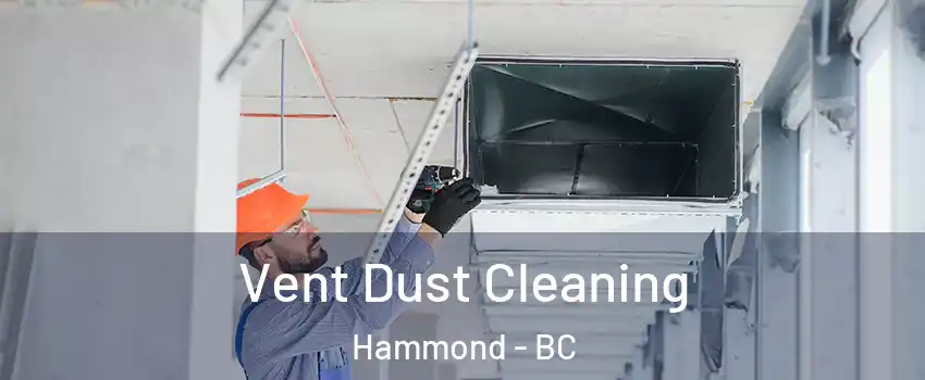  Vent Dust Cleaning Hammond - BC