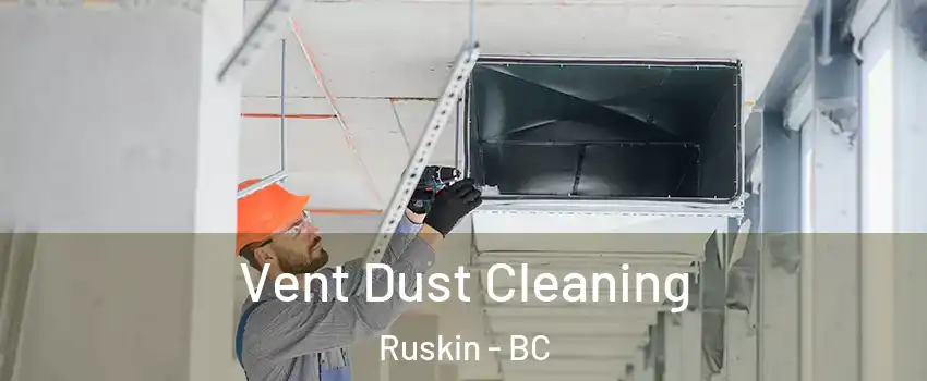  Vent Dust Cleaning Ruskin - BC