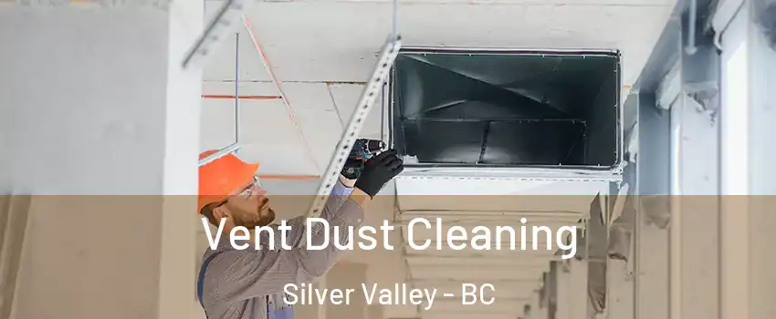  Vent Dust Cleaning Silver Valley - BC