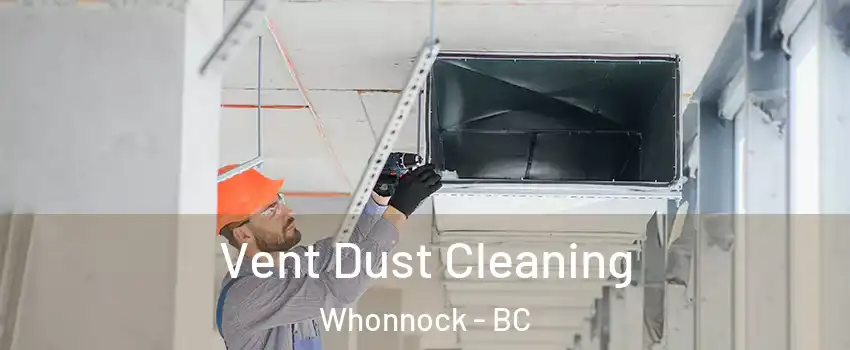  Vent Dust Cleaning Whonnock - BC