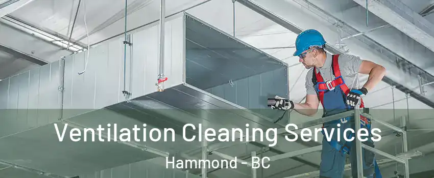  Ventilation Cleaning Services Hammond - BC