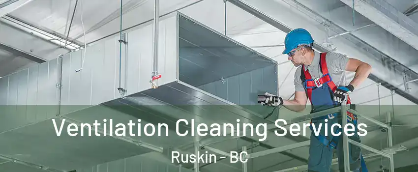  Ventilation Cleaning Services Ruskin - BC